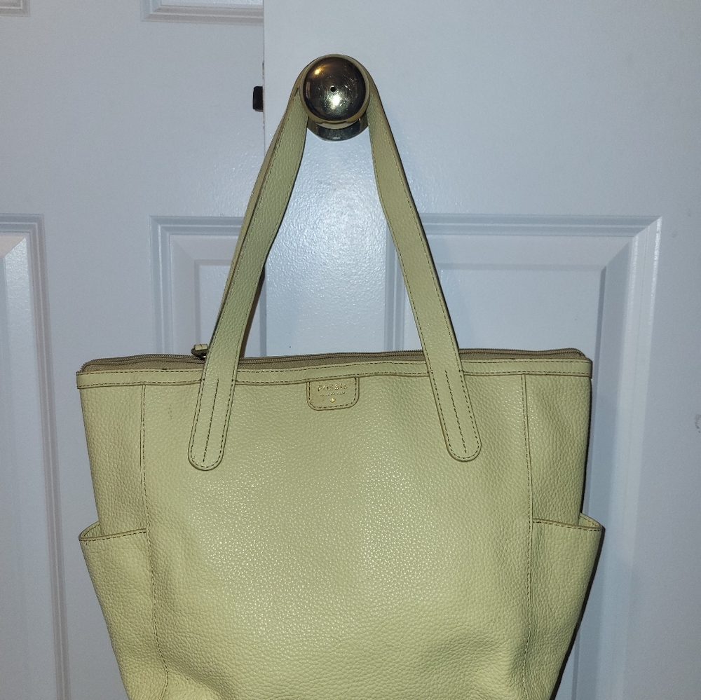 Fossil Tote Bag